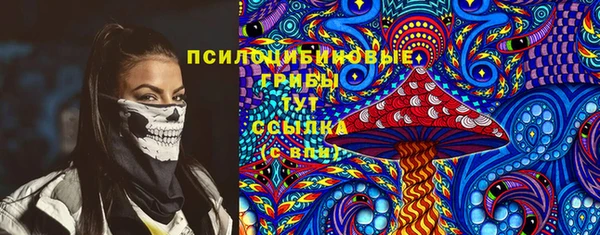 эйфоретик Надым