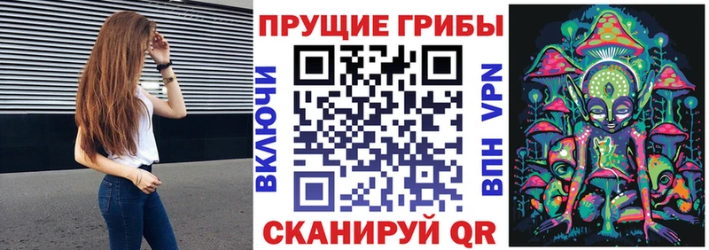 где купить наркоту  Туапсе  Галлюциногенные грибы Psilocybe 